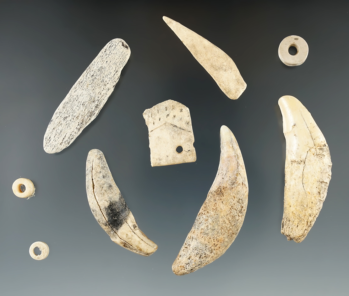 Group of 10 assorted bone, shell and teeth found at a site in Eastern South Dakota.