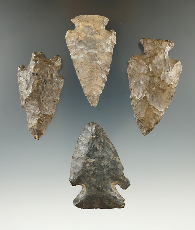 Set of four arrowheads found in New York, largest is 2 3/8".