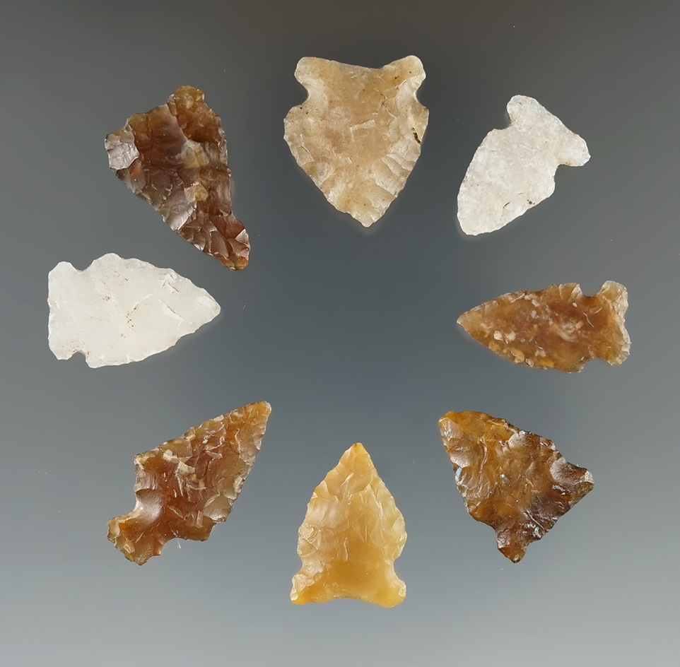 Set of 8 arrowheads found in Eastern South Dakota, largest is 1".