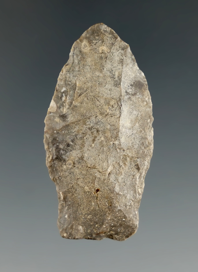 1 5/8" Paleo Hell Gap with nicely ground lower edges and base found in Kingsbury Co., SD.