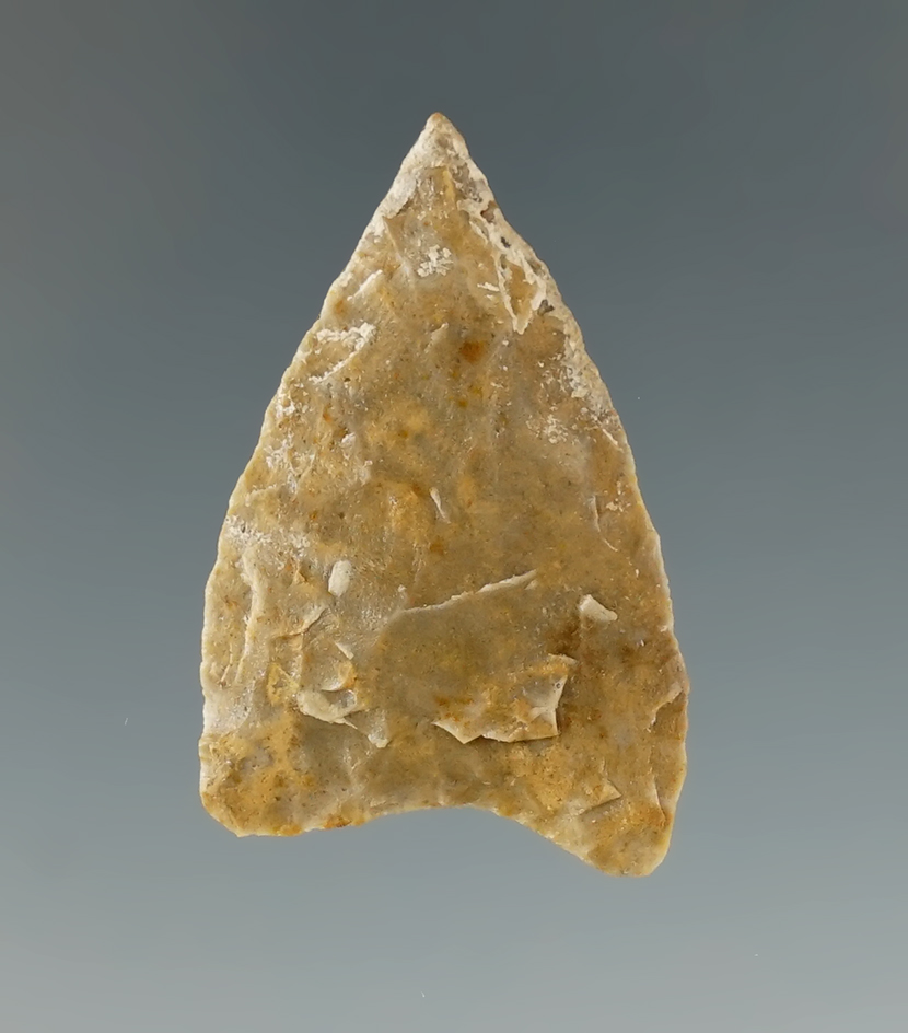 1 5/16" Paleo point - Hartville Uplift chert found in Brookings Co., SD by Harlan Olson.