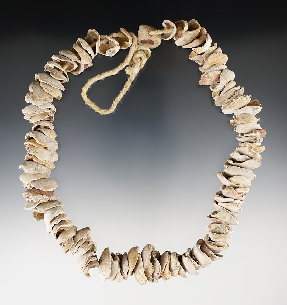 Excellent 14"strand of drilled shell beads - Sacramento Co., California. Circa 1850-1880.