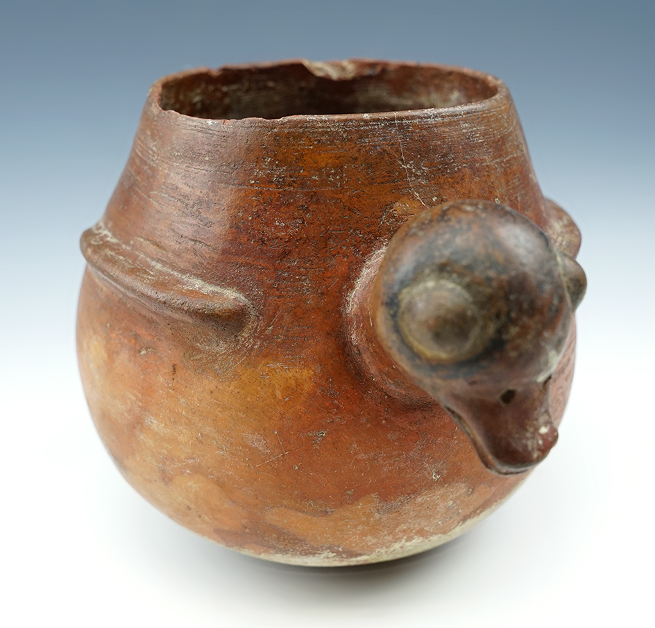 7" Wide x 5" tall Avian Effigy Viro (Pre-Moche) Pottery Vessel from north coastal Peru.