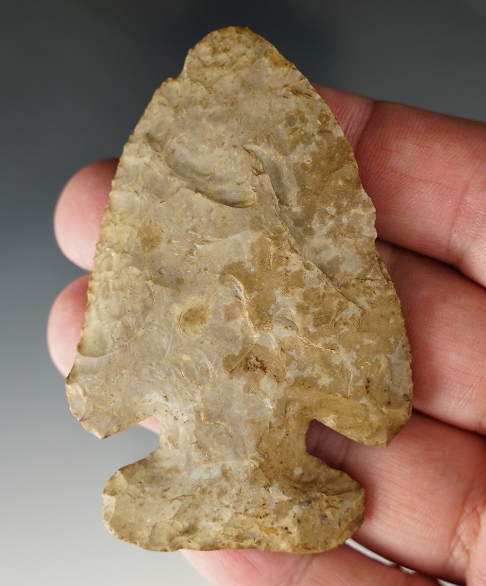 3 1/16" Archaic Thebes Bevel found in Clark Co., Wisconsin. Very nicely patinated.