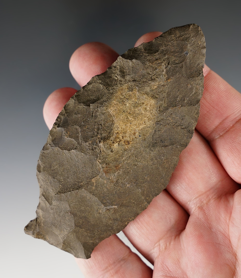 Large 3 15/16" Orient Fishtail found in Maryland.