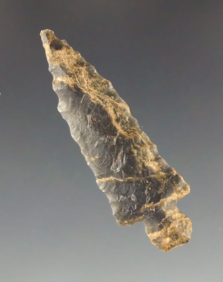 Pcitrued! 1 1/2" Alba point found at the Bowman site in Arkansas. Featured in Overstreet 15th ed.