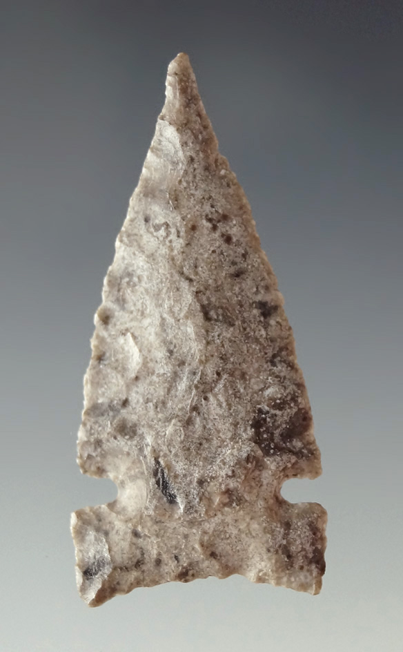 Very nice 1 7/8" Cache River found in Northeast Arkansas was very nice flaking.