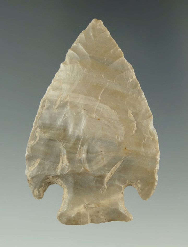 Large for type, 2 1/4" Jack's Reef found in Indiana made from Harrison Co., chert. Museum COA.