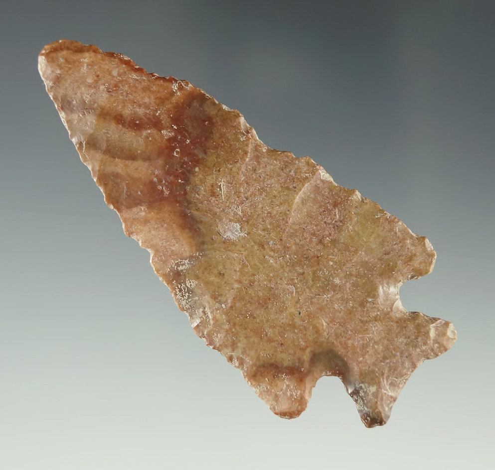 3" Creston point found by Bobby Ratliff in the Arkansas River, Osage Co., Oklahoma. Perino COA.