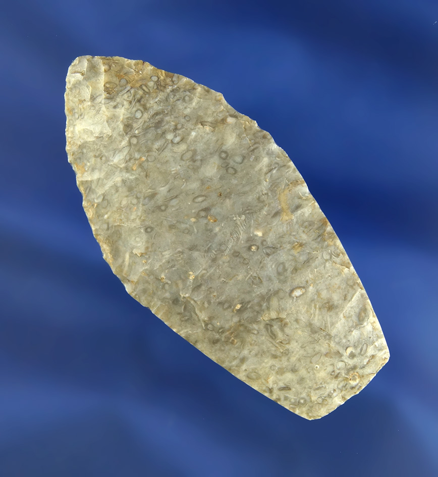 Exceptional flaking and style on this 2 1/2" Agate Basin found in Missouri - very thin.