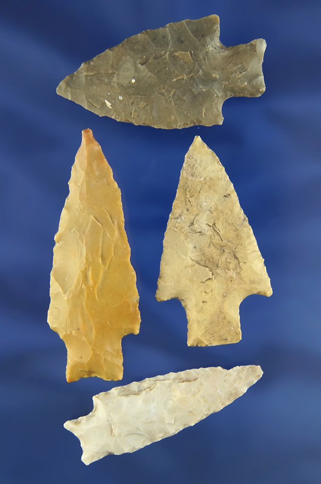 Set of four nice Darl points found in Texas, largest is 2 1/2".