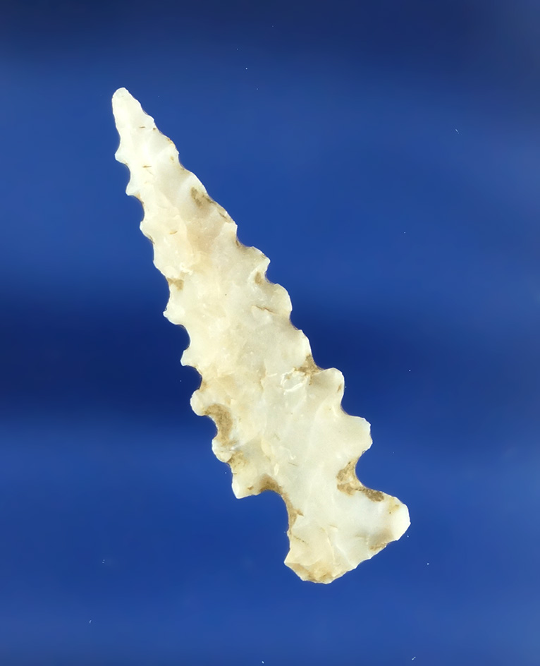 Excellent serrations on this 1 3/8" Sequoyah found in north central Missouri.