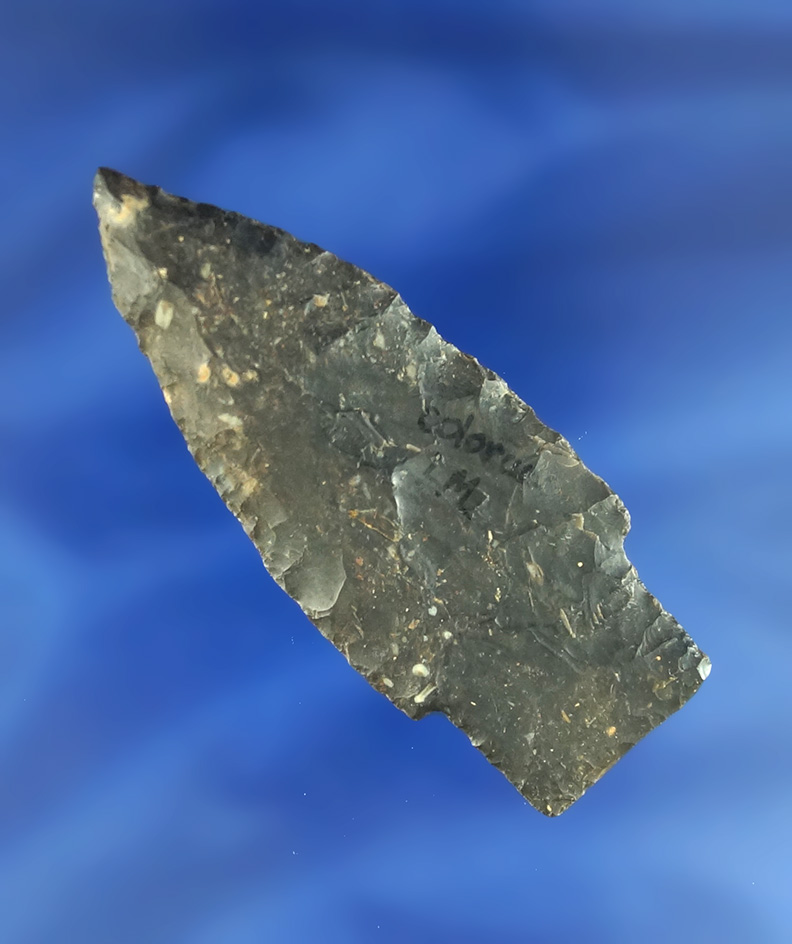 Sale Highlight! 2 11/16" Scottsbluff with nicely ground stem in good condition found in Colorado.