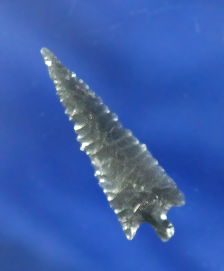 Exceptional flaking and style on this 1 1/4" Obsidian Gunther, California. Stermer COA.