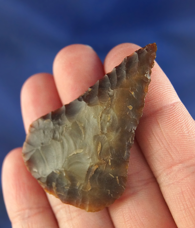 2" Plateau Pentagonal with excellent flaking found in Washington.