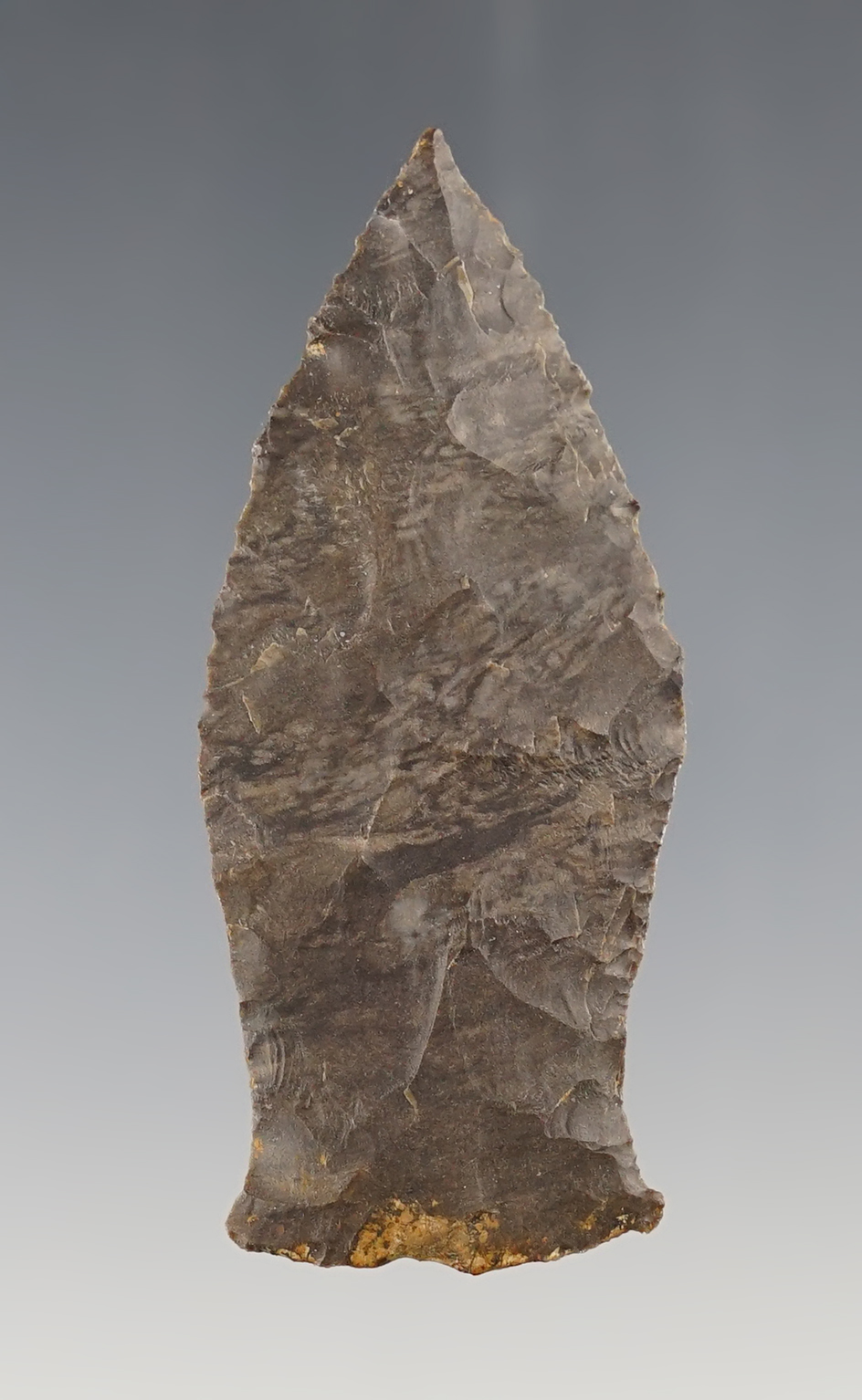 Fine 2 1/2" Tennessee Copena in excellent condition. Ex. Tom Davis collection.