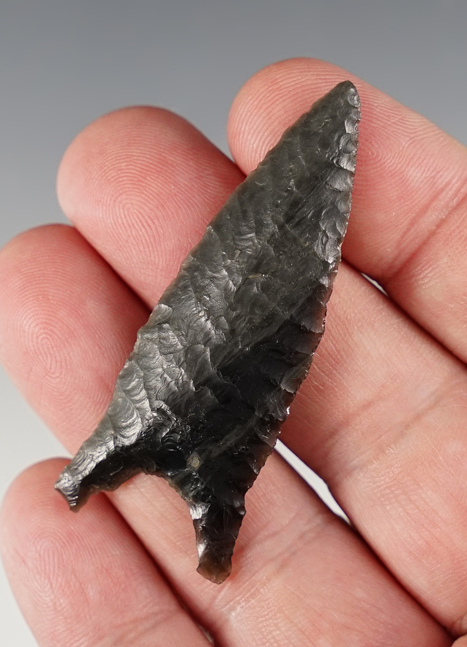 Beautiful style Humboldt Concave Base - South Oregon. Very slight blade curve. Ex. C.L. Pugh.