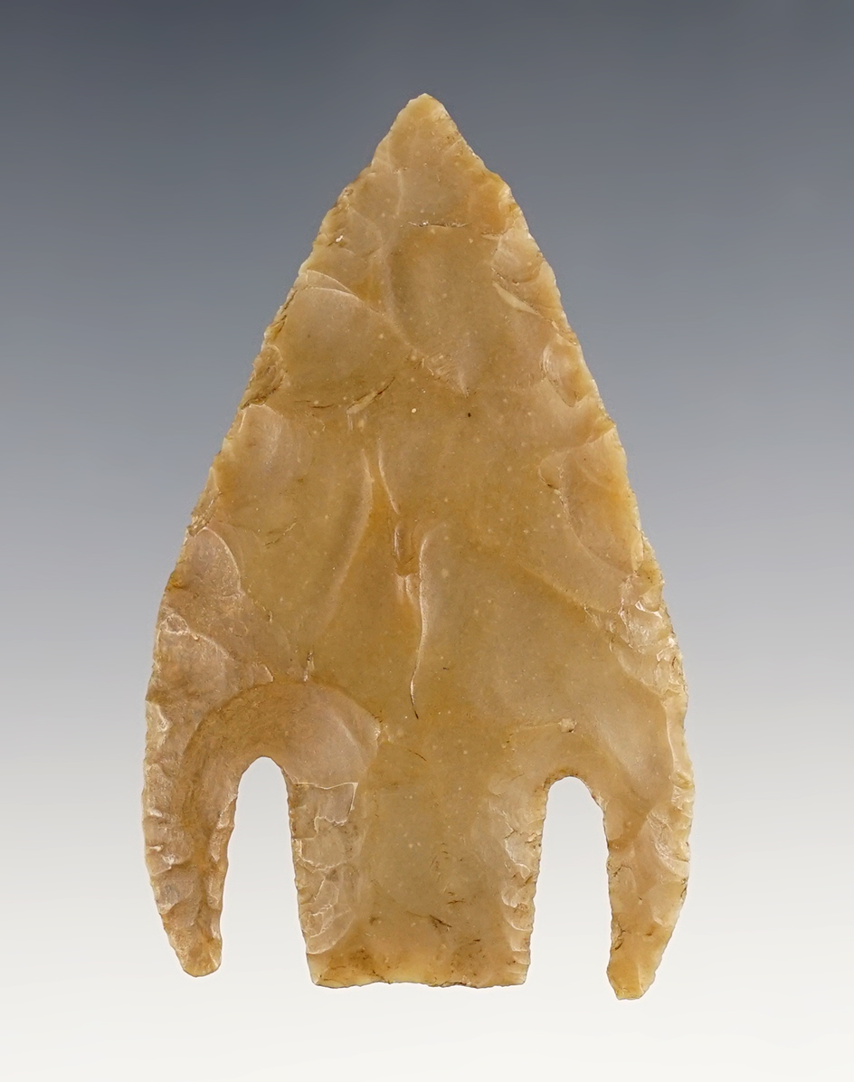 2 13/16"  Bulverde - Kerr Co., Texas. Restored - Rogers COA & Gomer Certificate of Restoration.