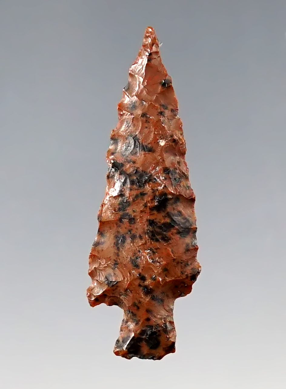 1 3/8" Rose Springs Stemmed - Mahogany Obsidian. Found by Hank Cassidy, Lake Co., Oregon.