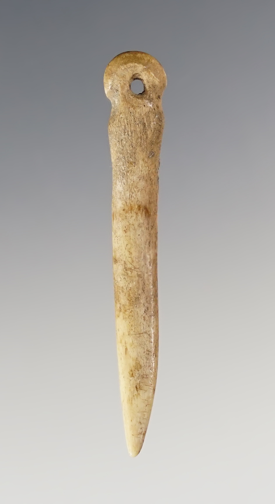 Fine 2" Perforated Fish Spine Awl. Mudlock Site, Cayuga Lake, Cayuga Co., New York.