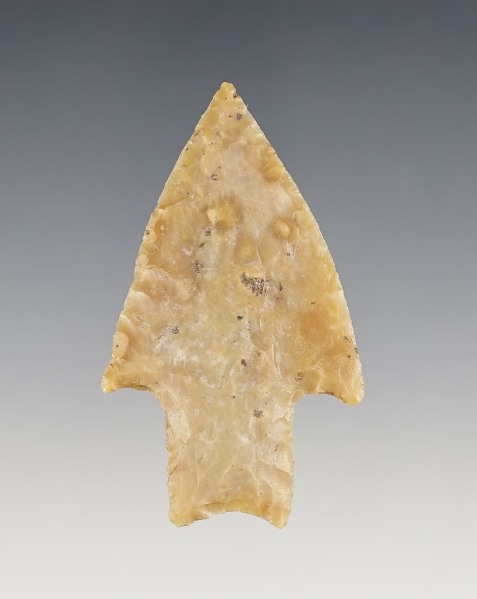 Fine 2 1/2" Texas Pedernales made from high quality Flint. 