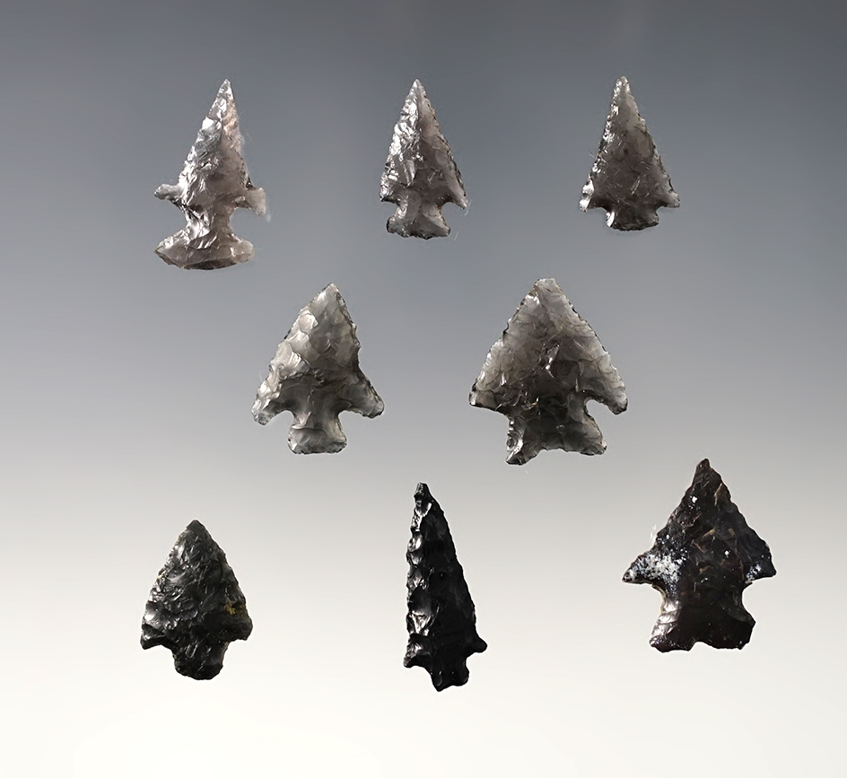 Set of 8 assorted Obsidian Points found in Oregon. Largest is 1". Ex. Wilke Museum.