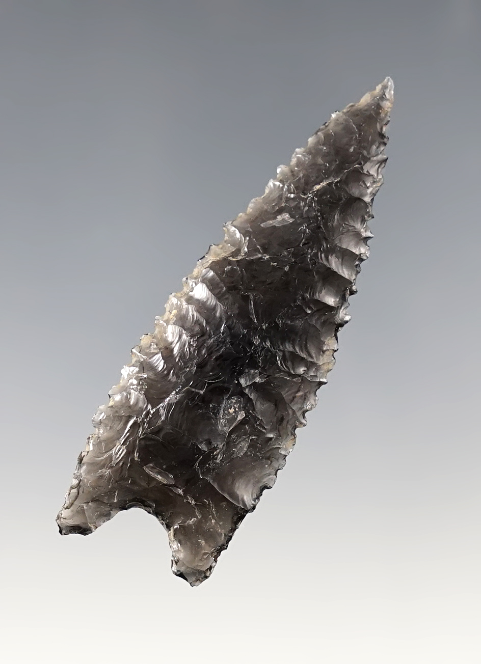 2 1/2" Humboldt Concave Base. Lake Co., Oregon by Matt Watkins on 11-05-1997. Stermer COA.