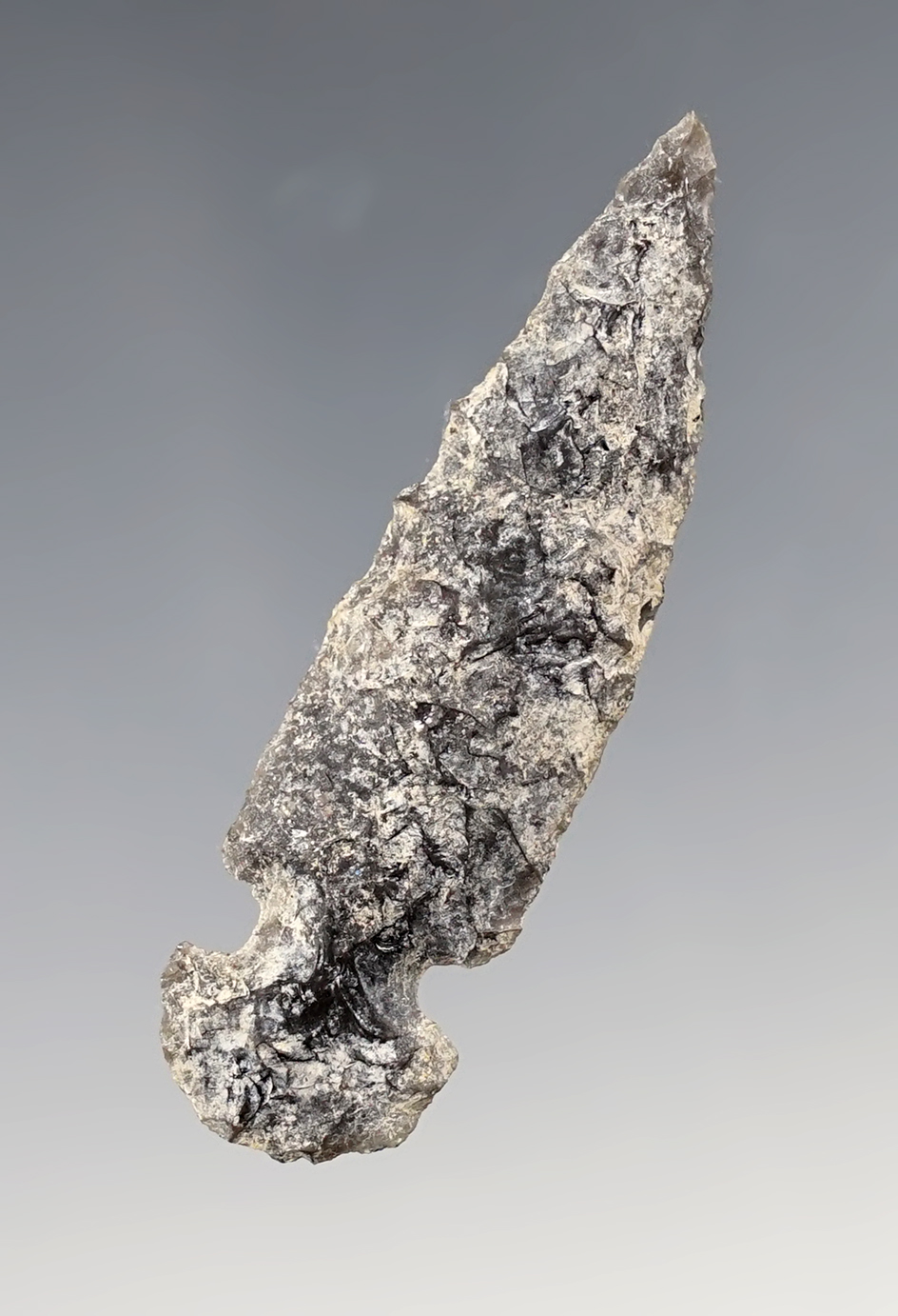 Patinated 2 3/16" Sidenotch found close to Tulelake, California in the 1950's by farm workers.
