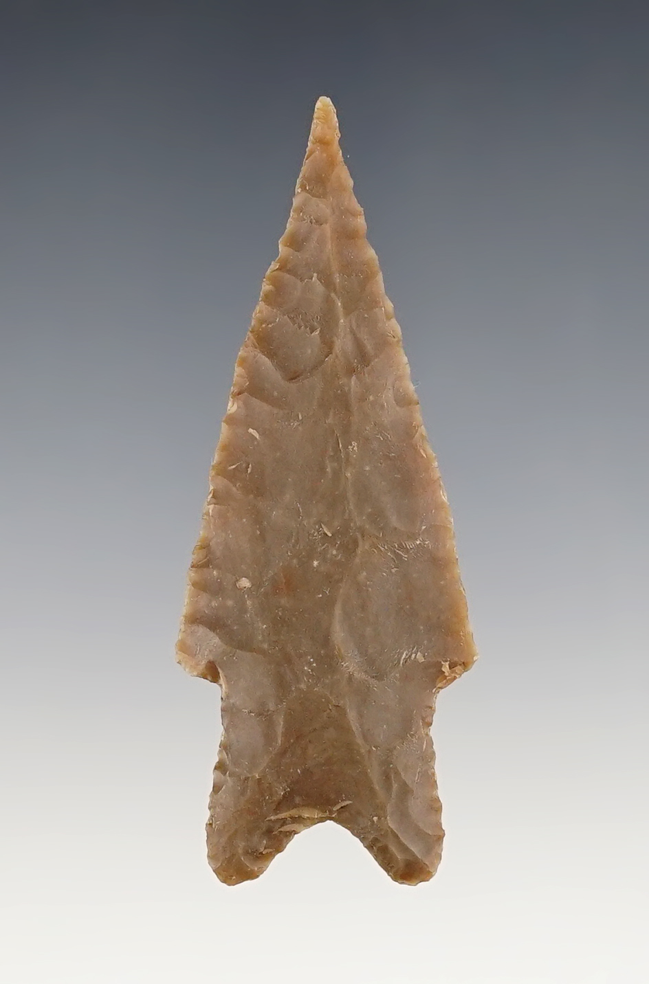 2 7/8" Pedernales found in Central Texas. Made from patinated Chert.