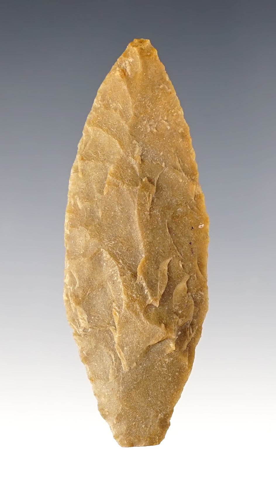 2 13/16" Transitional Paleo Zella - Wilson Co., Texas. Made from patinated brown Quartzite.