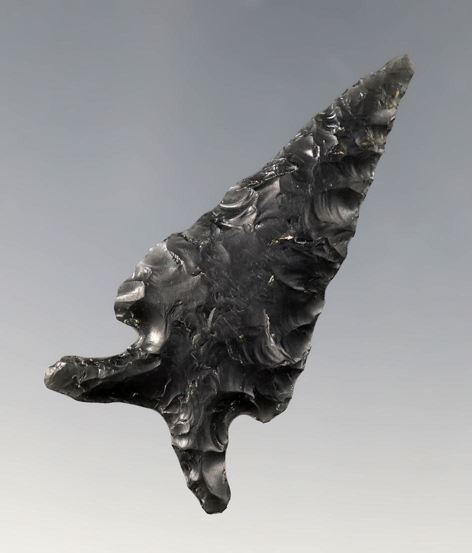 Fine 1 7/8" Elko with well defined basal lobes. Found close to Tulelake, California in the 1950's.