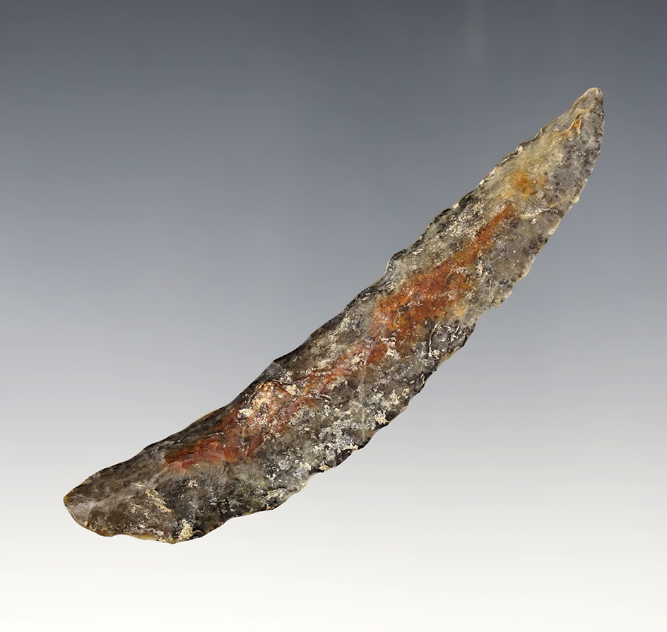 Large 3 3/4" Paleo Crescent Knife - Harney Co., Oregon by John Ebar Sr. Rogers COA. 