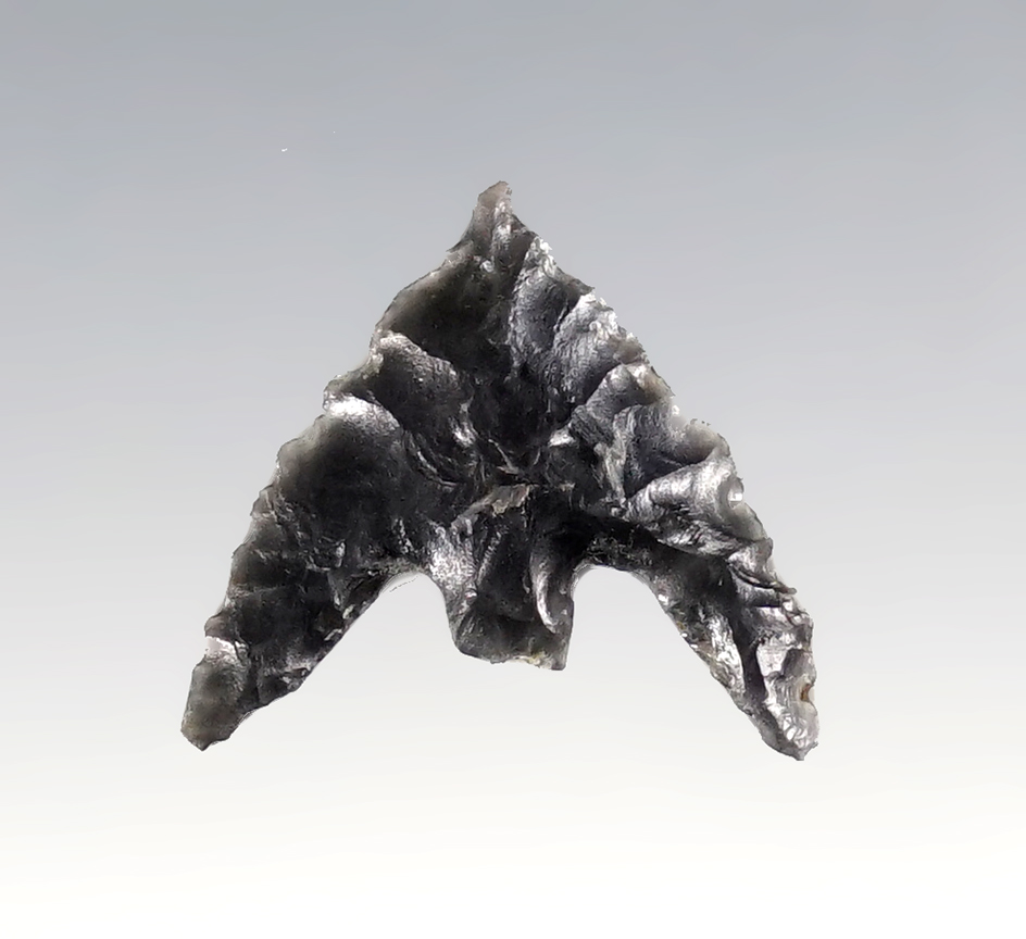 Classic style 11/16" by 3/4" Obsidian Gunther with a needle tip. Recovered in southern Oregon.