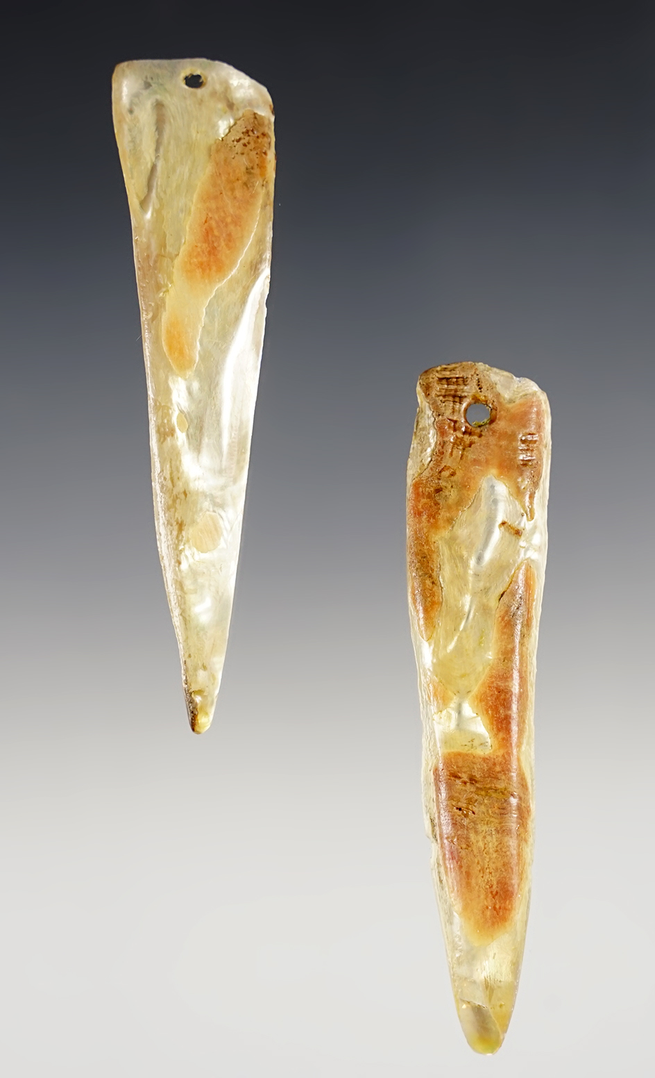 Pair of Abalone Shell Pendants found in California. The largest is 3 1/2".