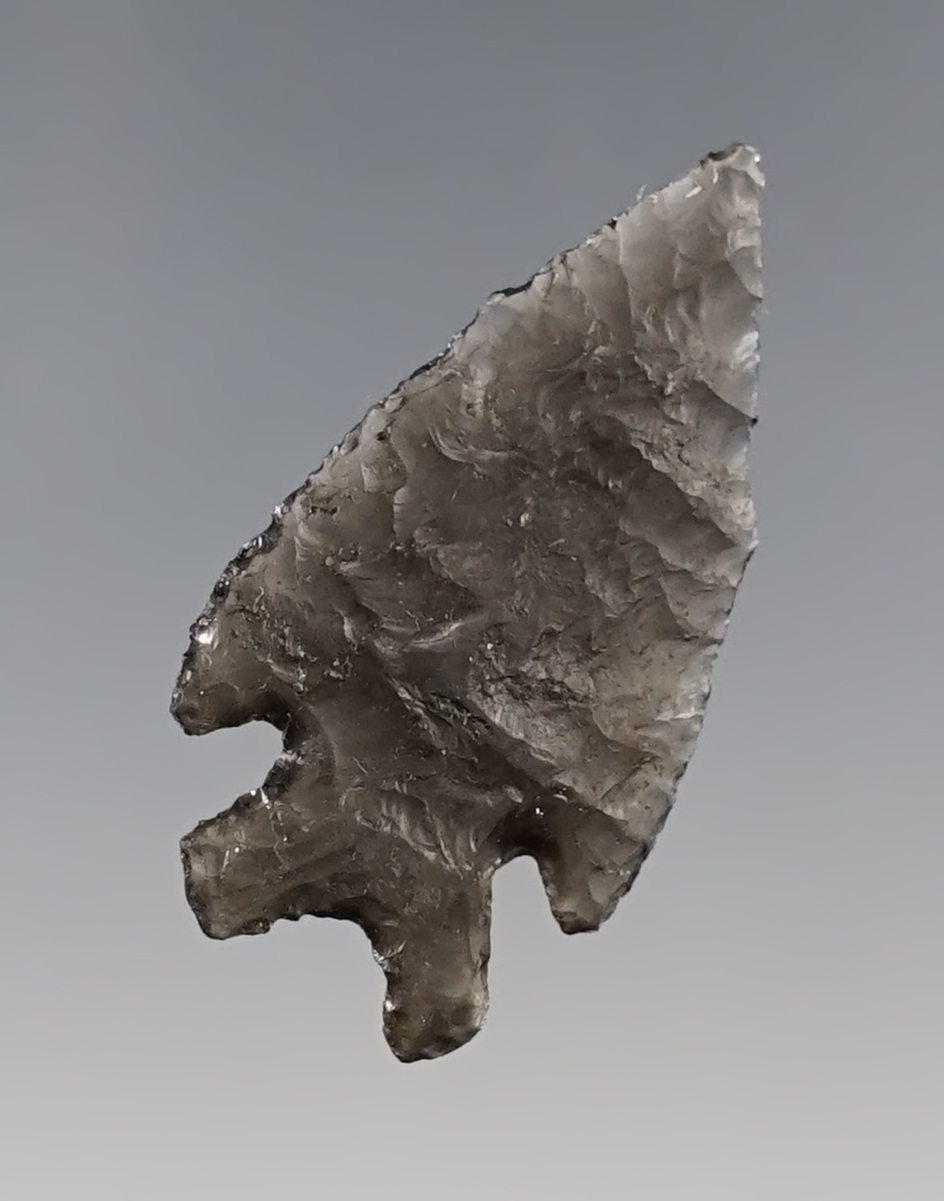 Nice 1 3/16" Obsidian Elko Split-Stem. Found near Modoc Point, Lake Co., Oregon in the 1950's.