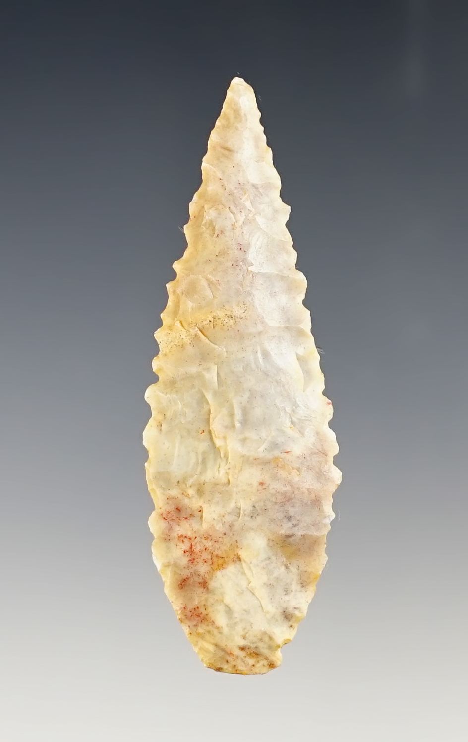 Large for type! 2 9/16" serrated Neolithic Leaf Point found in the northern Sahara desert,  Africa.