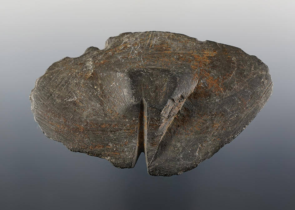 3 15/16" Wing Bannerstone Preform found in Madison Co., Ohio. Ex. Bill Likens collection.