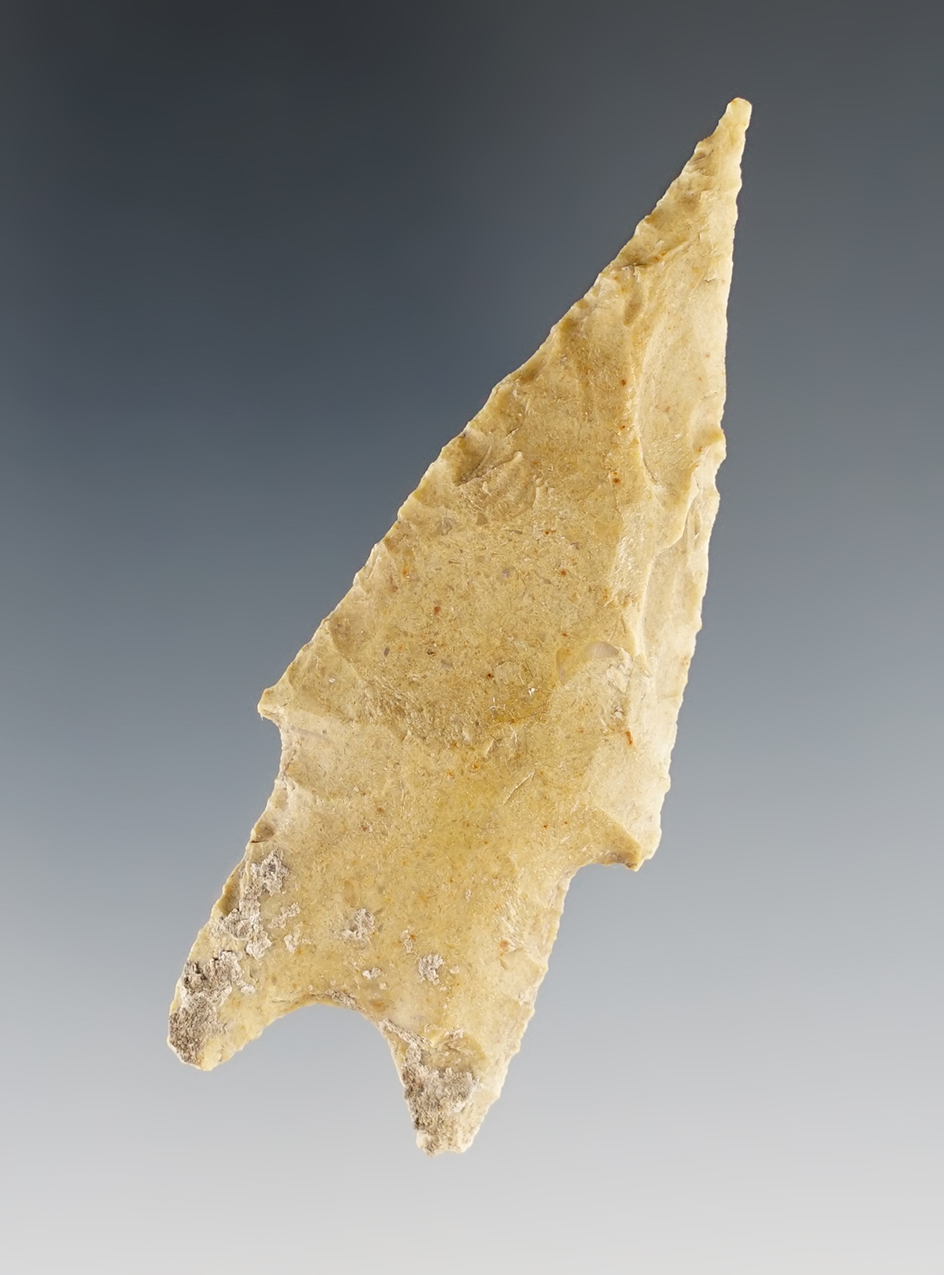 Ex. Museum! Heavily patinated 2 13/16" Texas Pedernales in excellent condition.