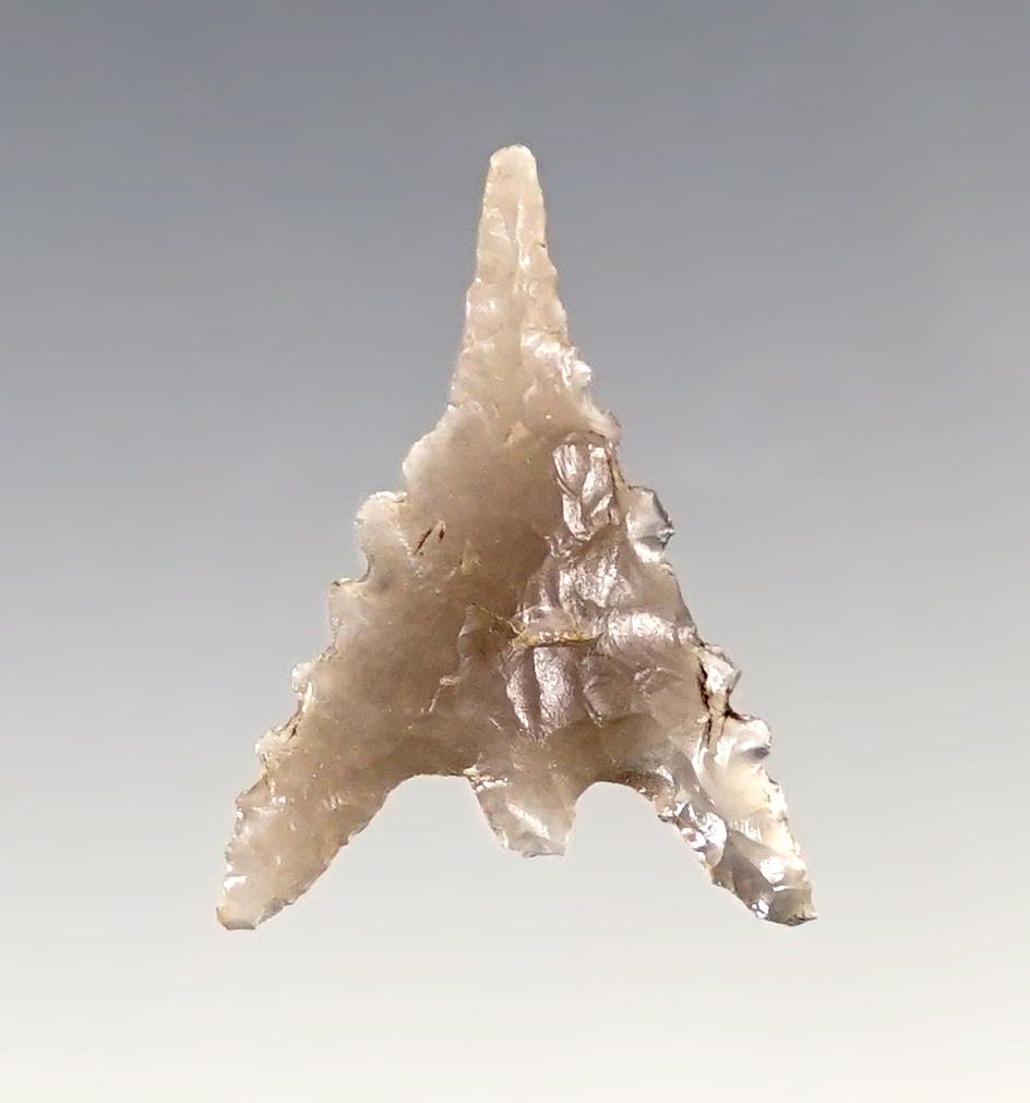 1" Gunther with a needle tip and nicely serrated edges. Recovered in southern Oregon.