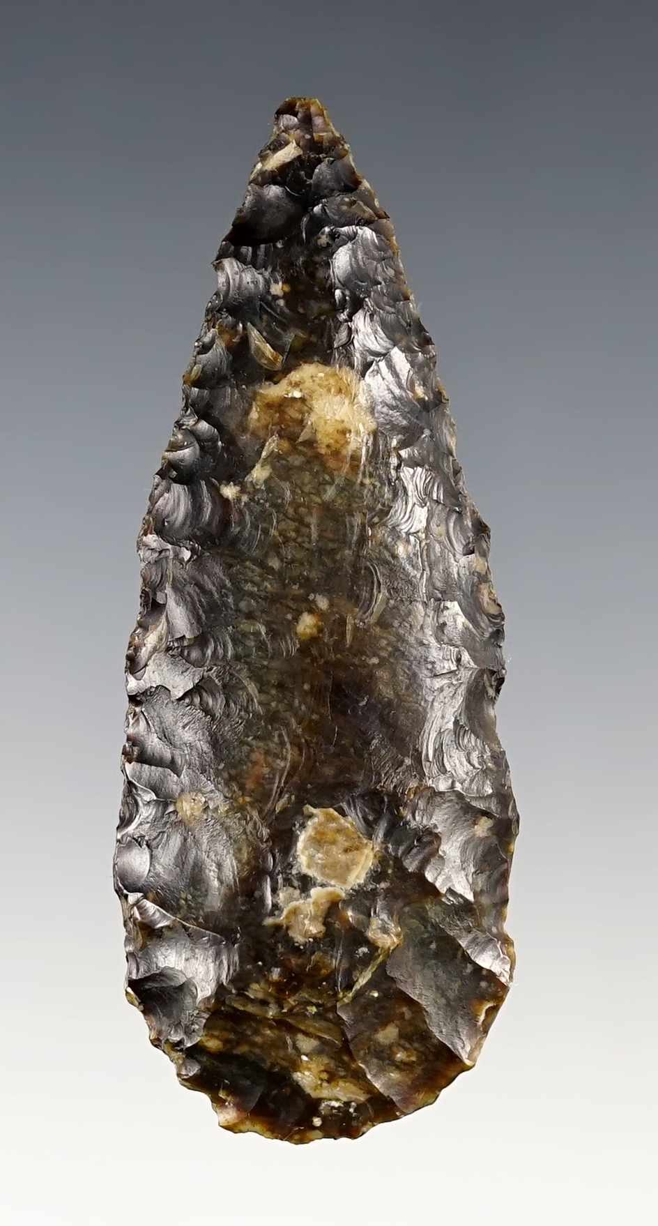 3 1/8" Tulare Lake Leaf Point found during the 1940's in Kern Co., California by Joe Burdell. COA. 