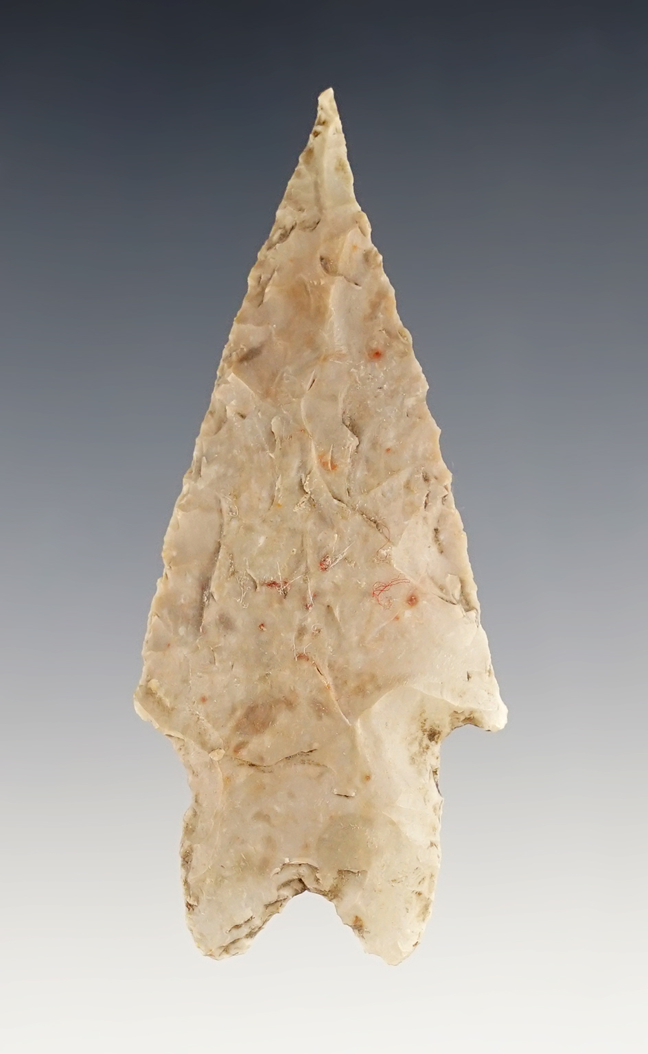 Well patinated 2 15/16" Pedernales found in Texas.