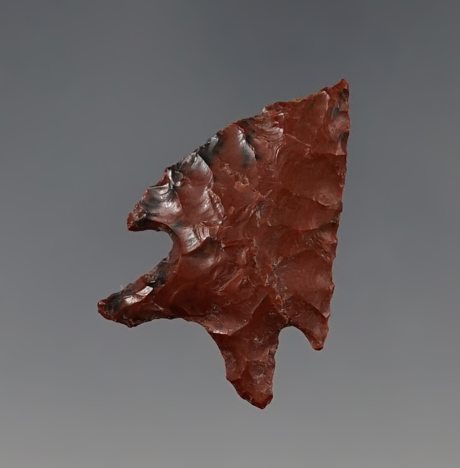 Well made 1 1/8" Elko made from Mahogany Obsidian. Found by Hank Cassidy, Lake Co., Oregon.