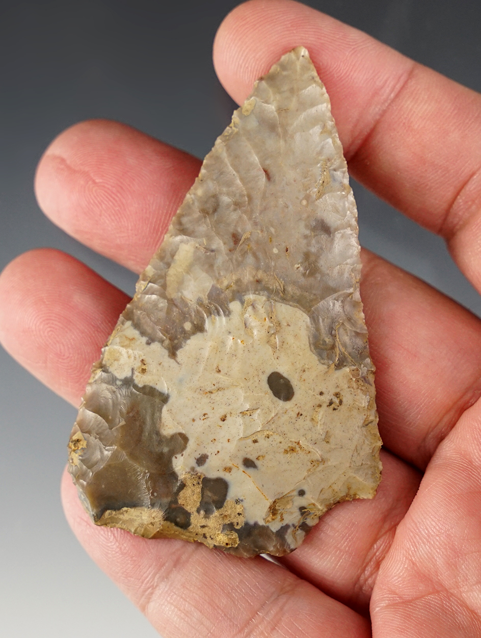 2 7/8" finely made Pipe Creek Archaic Blade with one unique notch in blade. Knox Co., Ohio. 