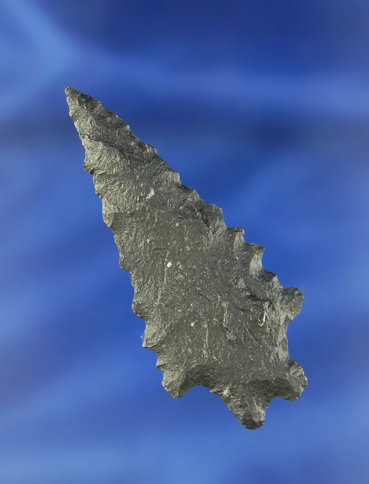 2 3/8" bifurcated base basalt dart with excellent serrations to blade edges. Found in Nevada.