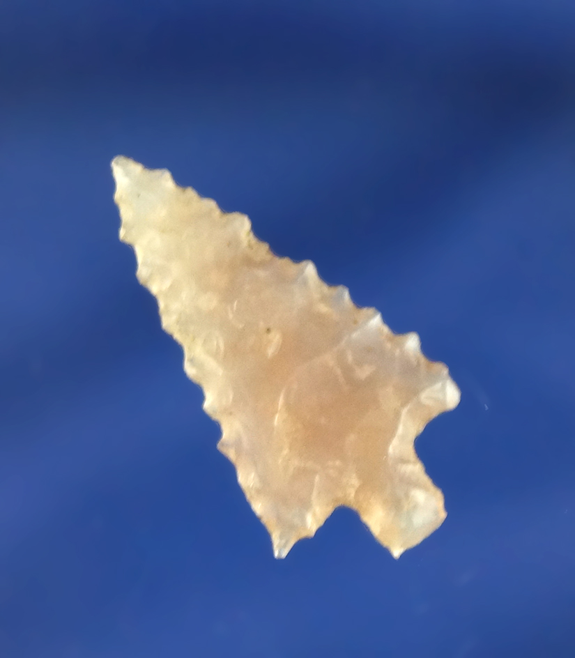 Very nice 1 1/8" serrated Wallula Gap Rectangular Stem made from agate.Benton County, WA.