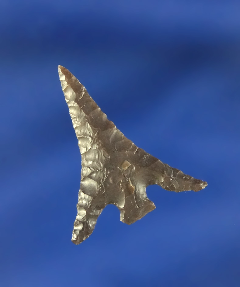 1" Columbia Plateau with nice swept wings found near the Columbia River, Washington.