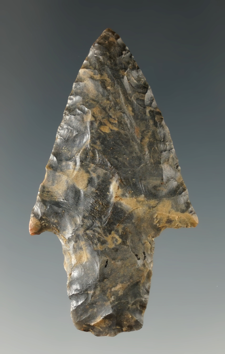 2 3/16" Barry point made from beautiful material with excellent flaking found in Oklahoma