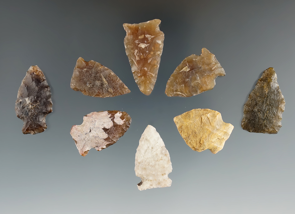 Set of eight  assorted points found in Eastern South Dakota, largest is 1 1/4".