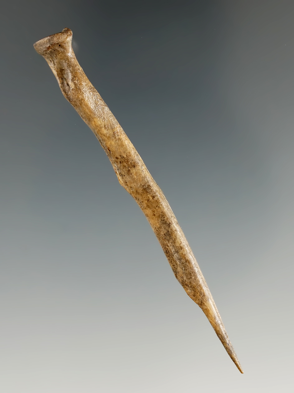 3 1/8" bone needle found on the Reeves Road site.  Ex. Frank Pike, Ex. Hovan, #H4360.