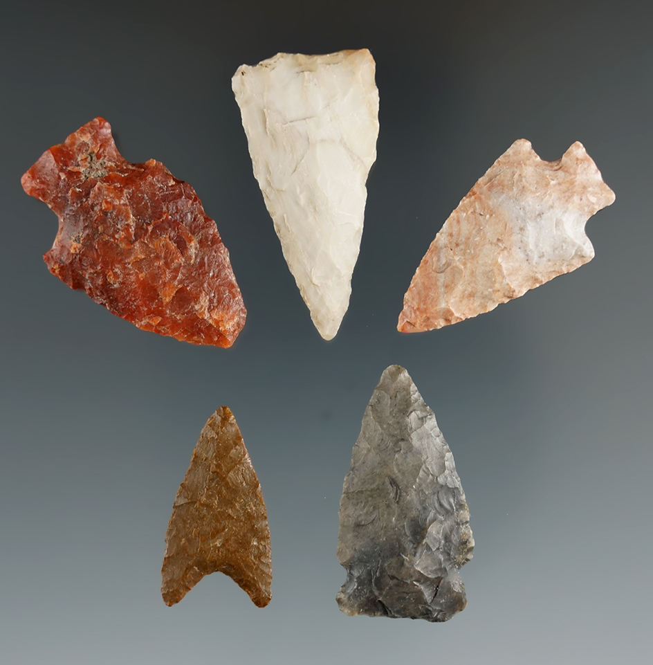 set of five  assorted points found in Eastern South Dakota, largest is 1.